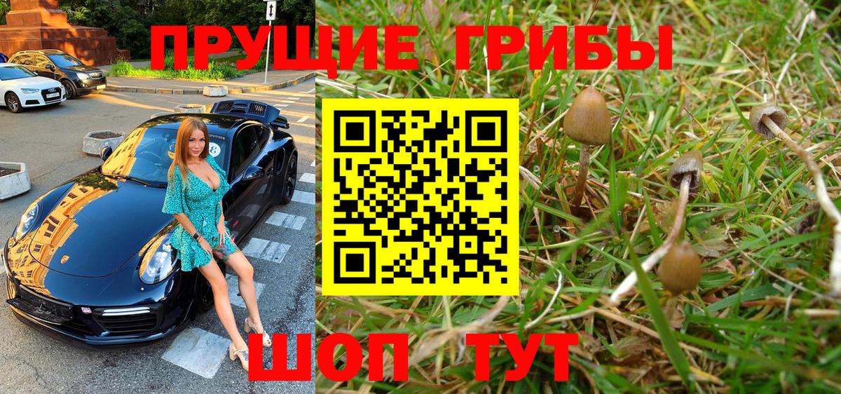 Галлюциногенные грибы Cubensis  Галлюциногенные грибы мухоморы  Вход с VPN  Баксан 