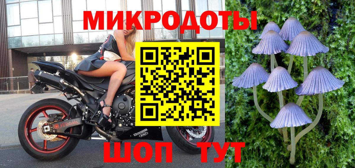 Галлюциногенные грибы GOLDEN TEACHER Баксан